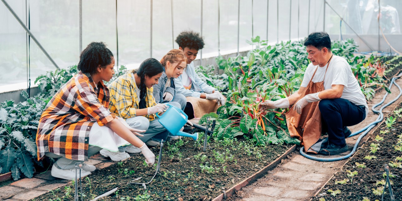 Teen girls and boys working in a vegetable garden with a gardener