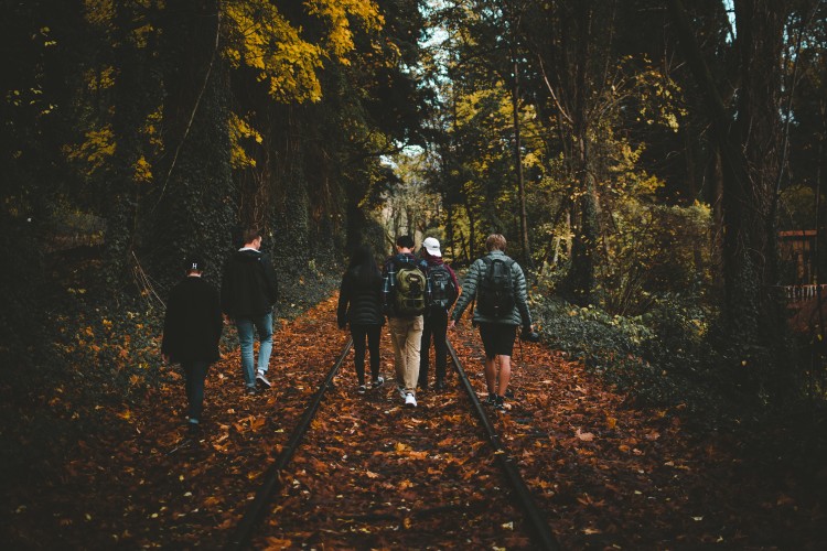 Young men walking on train track in forest