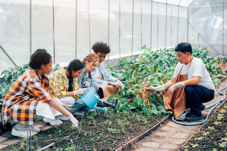 Teen girls and boys working in a vegetable garden with a gardener