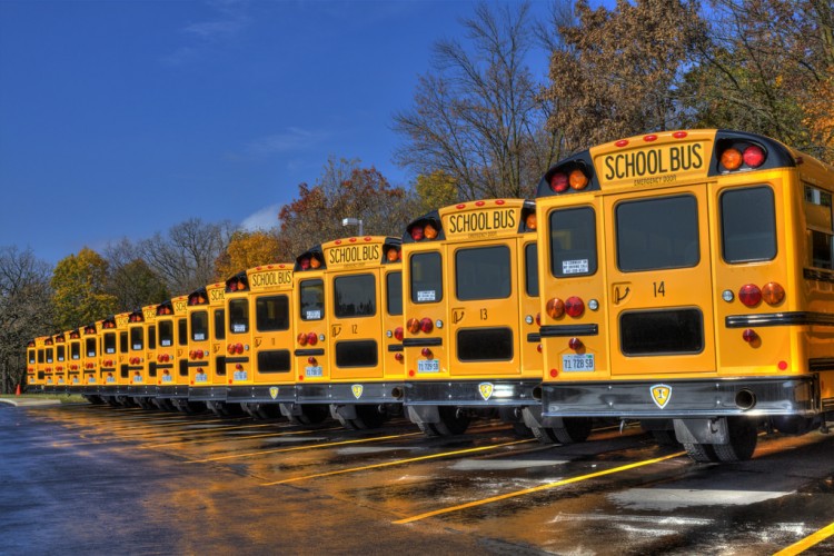 School buses